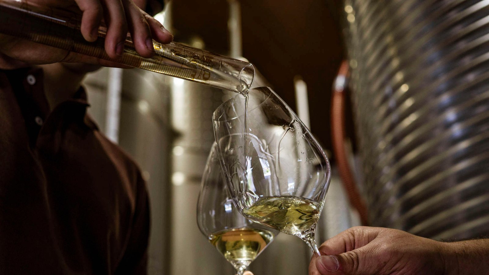 Alvarinho: com ou sem malolática?